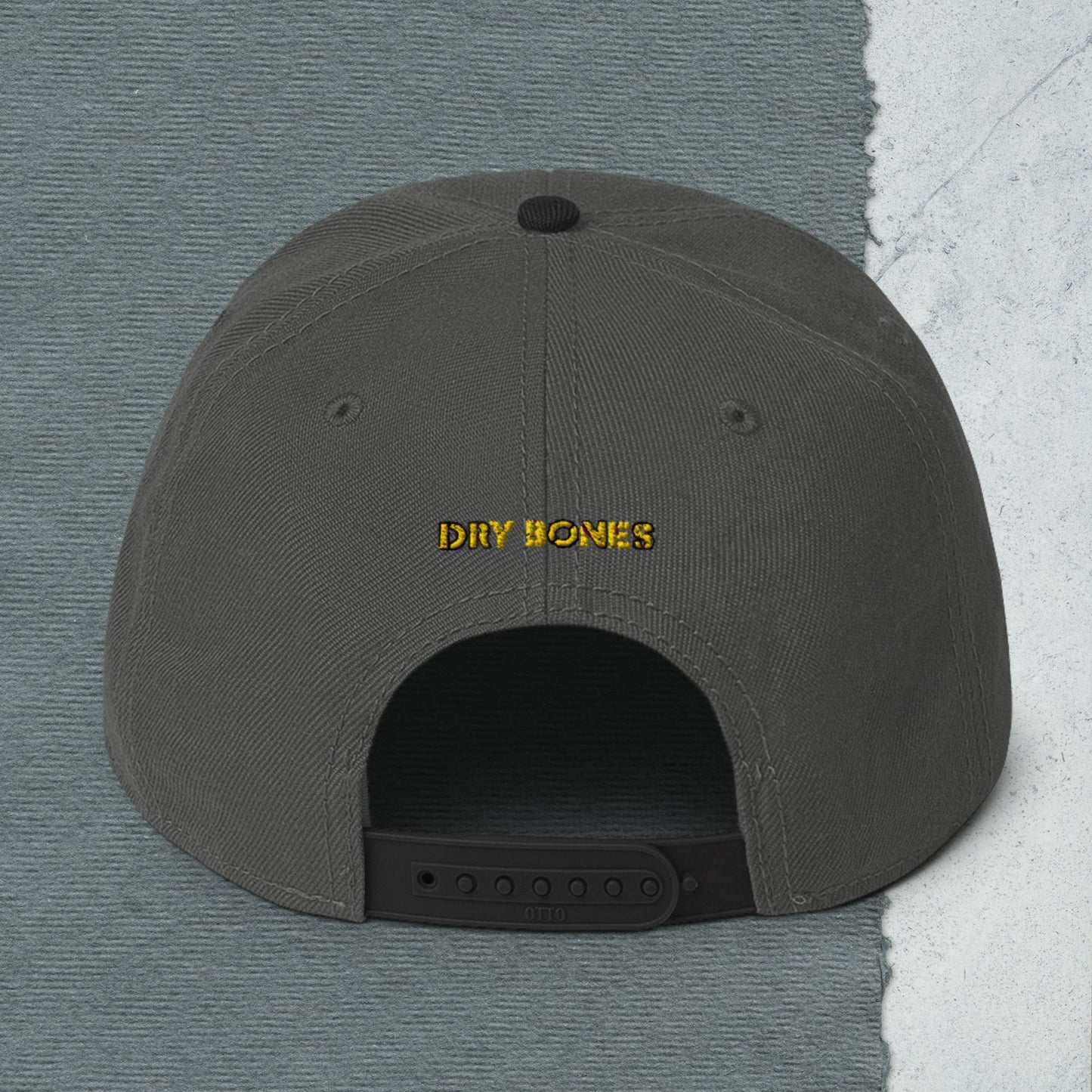 Logo Snapback Hat