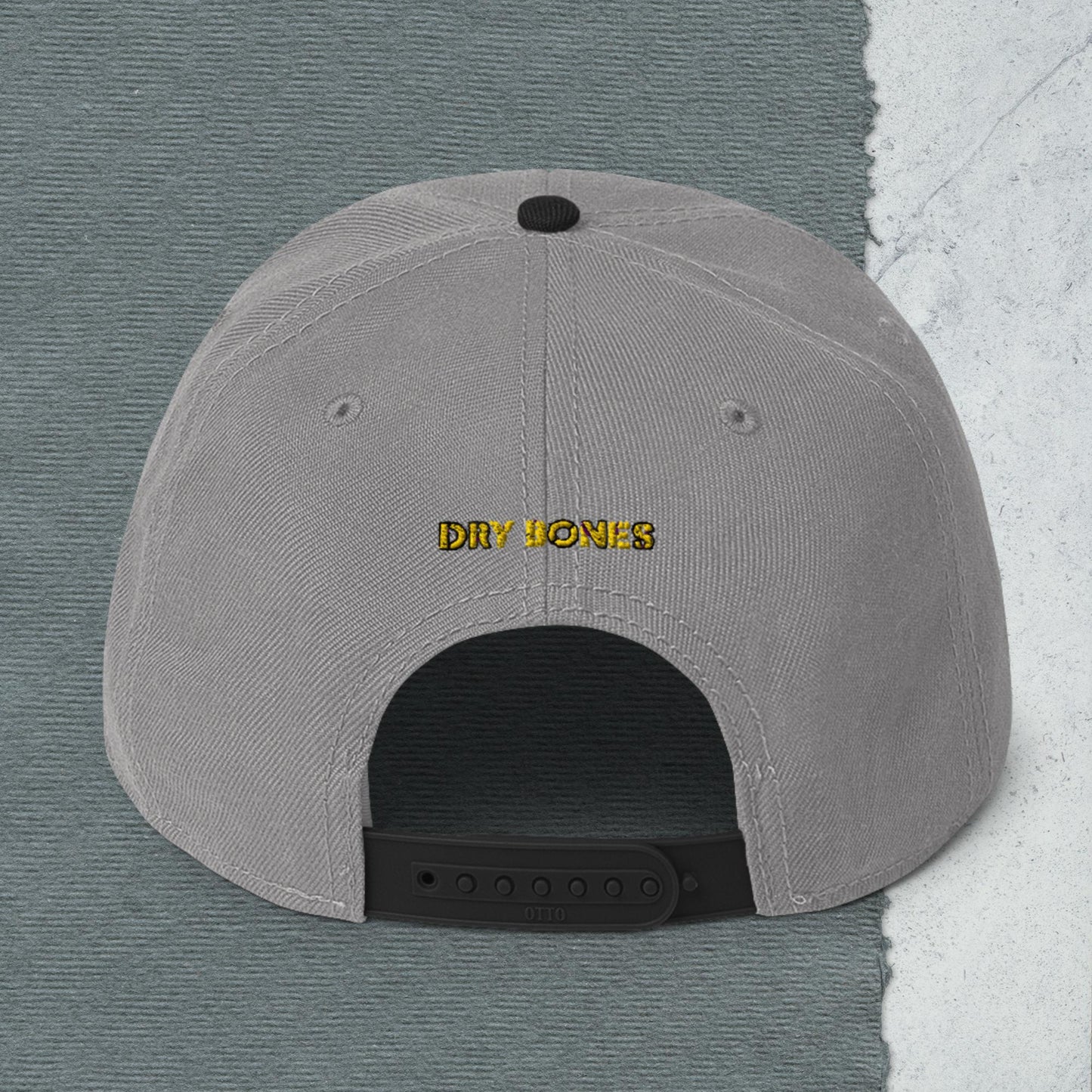 Logo Snapback Hat