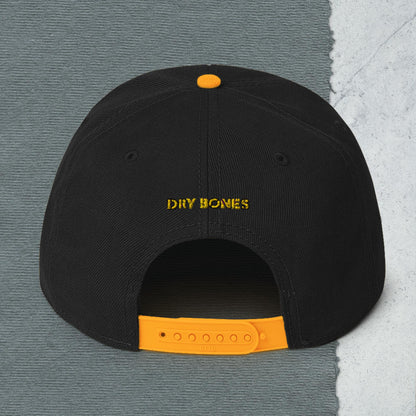 Logo Snapback Hat