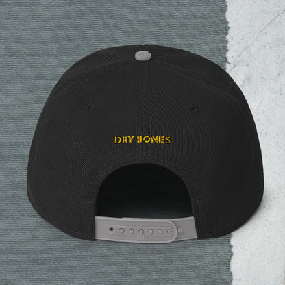 Logo Snapback Hat