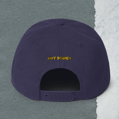 Logo Snapback Hat