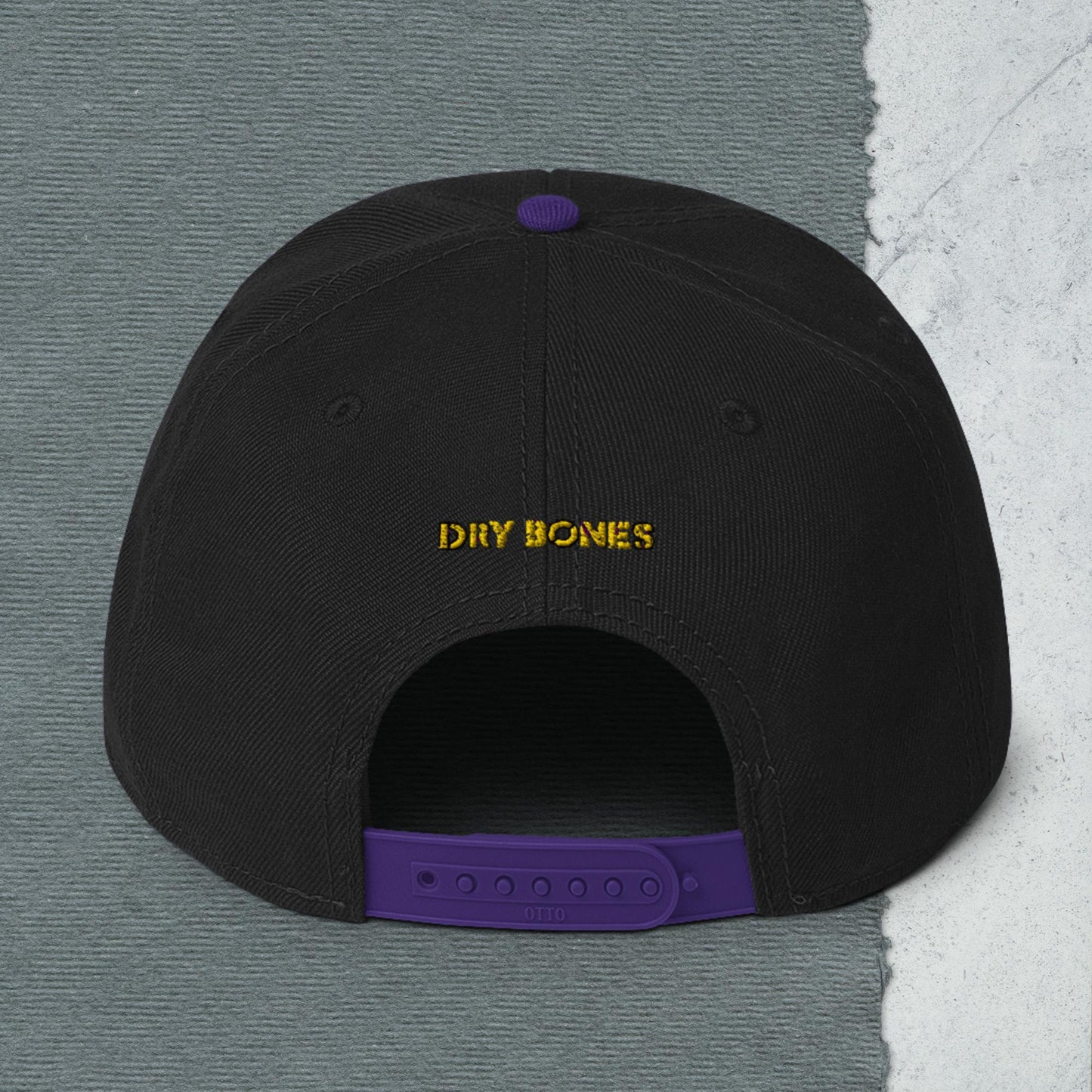 Logo Snapback Hat