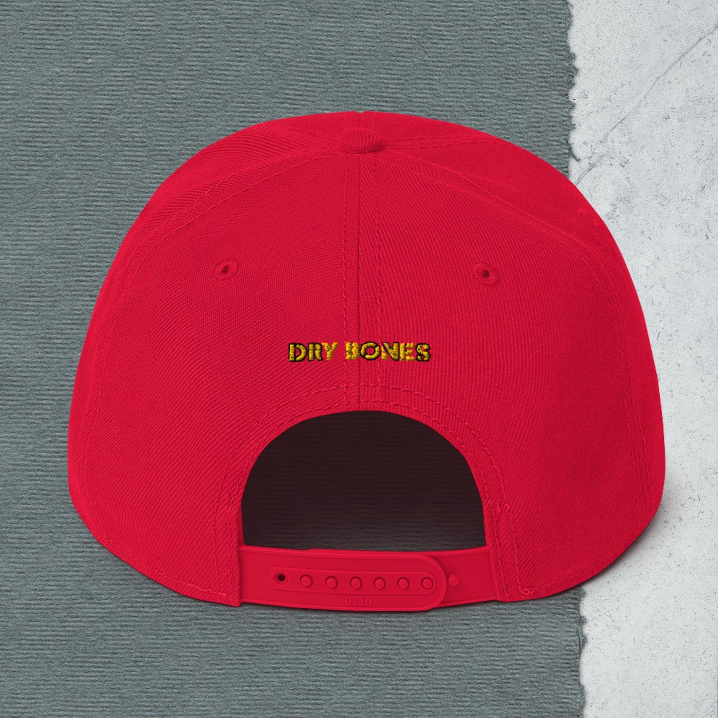 Logo Snapback Hat